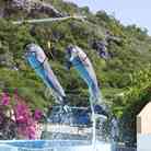 Descubre #CubaUnica. Naturaleza y aventura